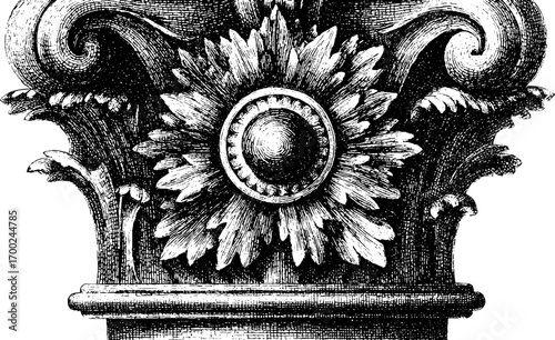 Vintage architectural column capital design in engraving style for artistic decor