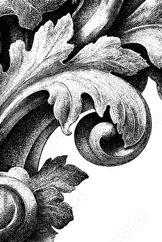 Ornate art nouveau leaf motif design in vintage engraving style