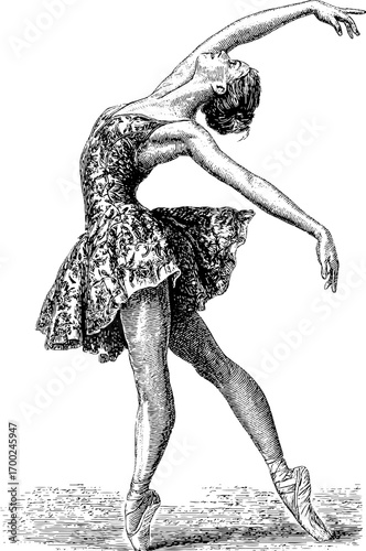 Graceful ballet dancer in vintage engraving style for art and design