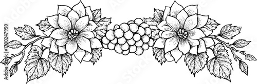Vintage engraving style floral design with grapes for retro decoration and print