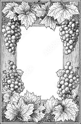 Vintage engraving style illustration of grapevine bunches and leaves frame design