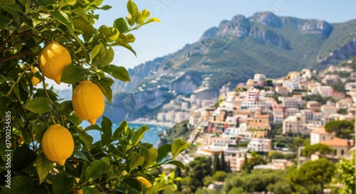 Lemon Tree with Bright Yellow Lemons and Green Leaves Overlooking Scenic Coastal Town with Mountain Background