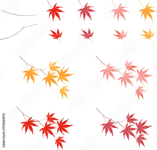 和風紅葉の素材