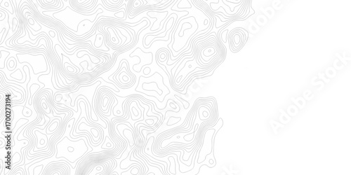 Minimal white line geometric grid outline curve counter map and wavy topography relief discovery area white, black line texture background.	
