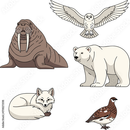 Arctic Animals Collection: Walrus, Polar Bear, Fox, Owl, Bird