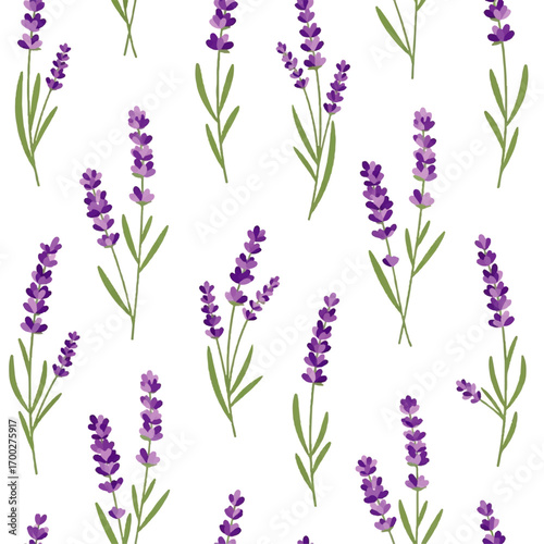 Seamless Lavender Pattern A Delicate Design of Purple Blooms on a Clean White Background