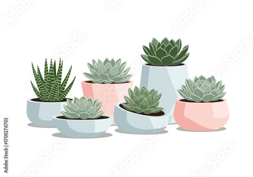 Collection of various succulent plants in modern decorative pots