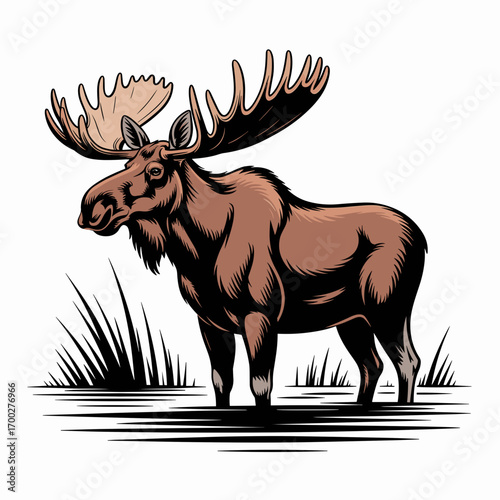 Majestic Moose Standing Illustration