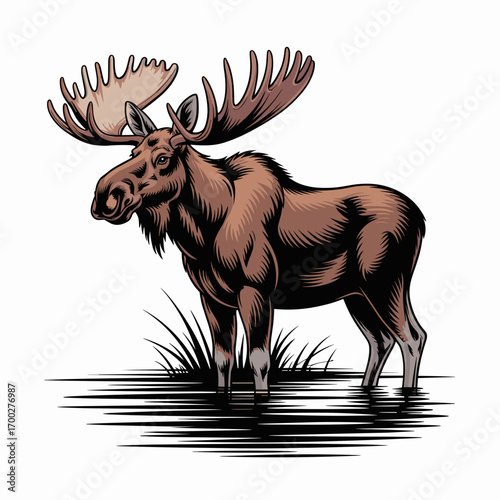 Majestic Moose Standing Illustration