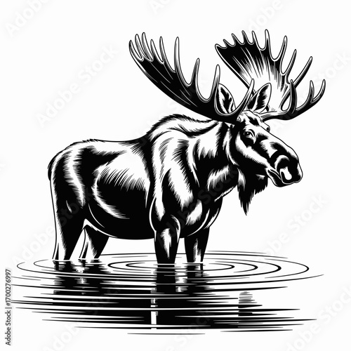 Majestic Moose Standing Illustration