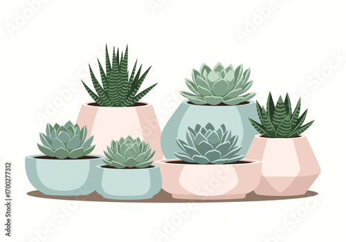 Geometric planters house adorned with various succulent plants