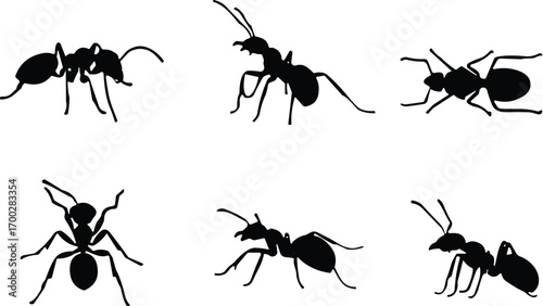 Ant silhouette collection, black insect icons, crawling ant poses, segmented body shapes, vector illustration, entomology, pest control, nature design