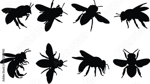 Bee silhouette collection, black insect icons, flying bee poses, vector illustration, wing detail, nature design, pollinator, entomology