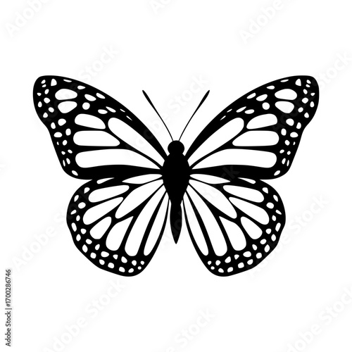 Graceful monarch butterfly silhouette poised for flight symbolizing transformation and beauty in nature