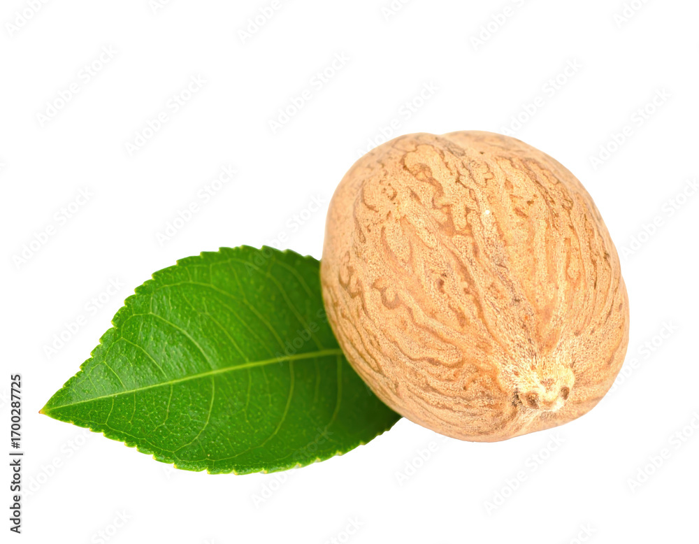 Obraz premium Walnut and leaf with transparent background