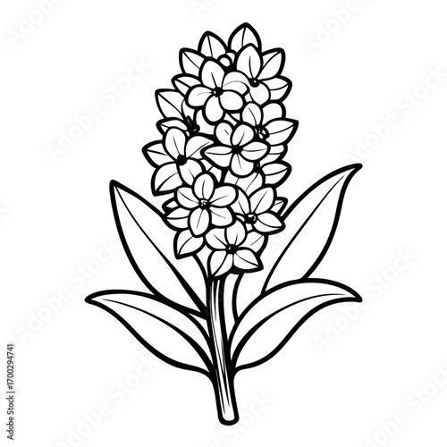 black and white flower