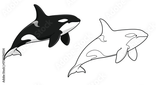 Majestic Antarctic Orca Whale Side View Coloring Page with Outline Drawing for Children Adults
