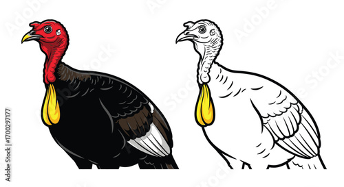 Educational Australian Brush Turkey Coloring Page Outline Drawing for Children and Adults