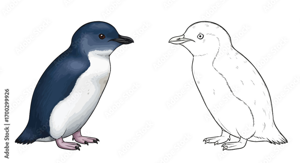 Naklejka premium Little Blue Penguin Side-by-Side Coloring Page Outline Design Fun Educational Kids Activity