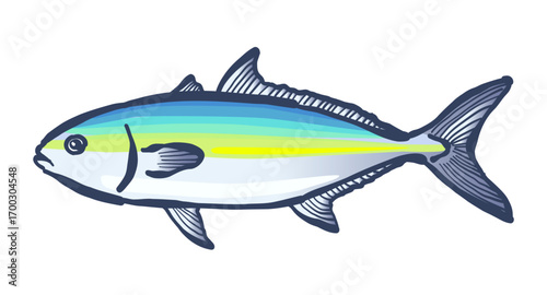 筆で描いた、魚の「ブリ」。筆で描いた、魚の「ヒラマサ」。A yellowtail fish painted with a brush.