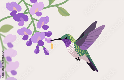 Bird close-up vector image