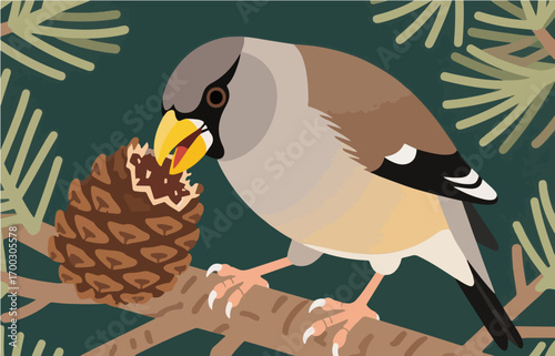 Bird close-up vector image