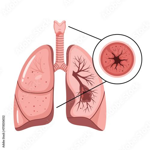 Understanding the human respiratory system and its vital functions for health and well being