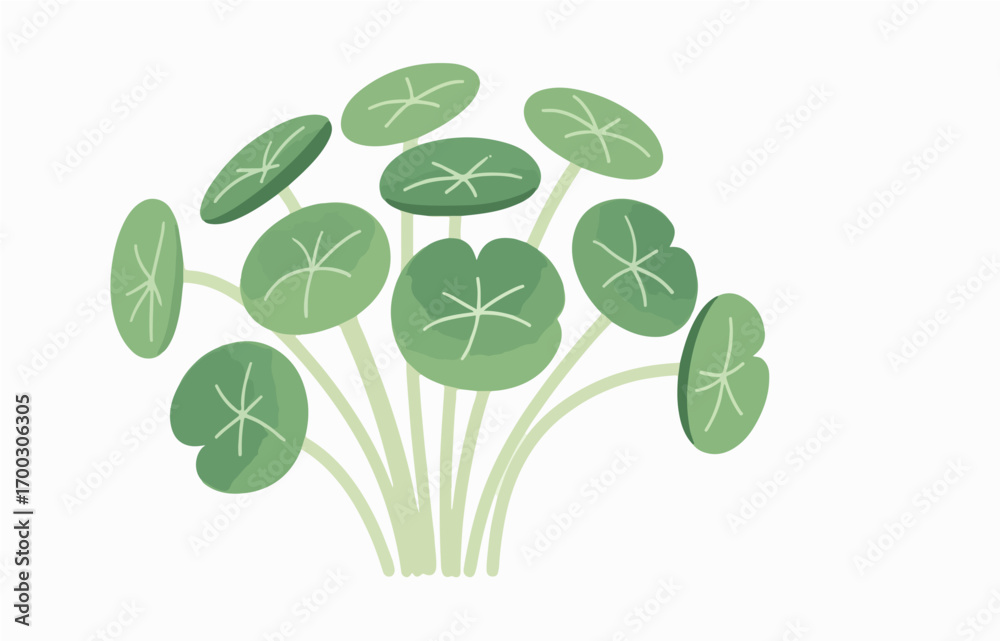 Obraz premium Plant close-up vector image