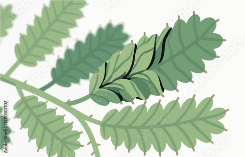 Plant close-up vector image