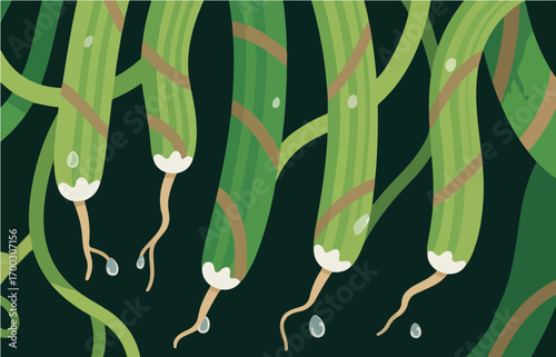 Plant close-up vector image