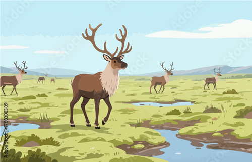 Graphic illustration style, landscape image, vector image	
