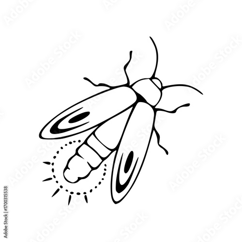 nature's light firefly drawing