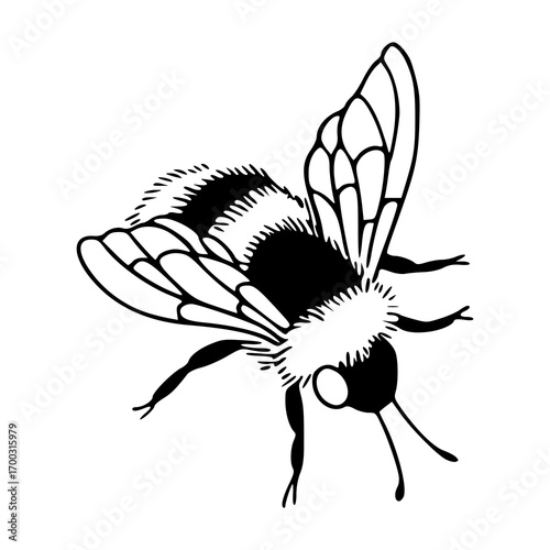 cute honey bee drawing design