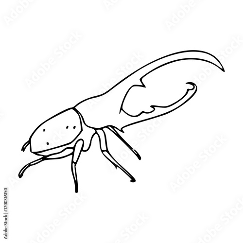 line art of a giant scarab beetle