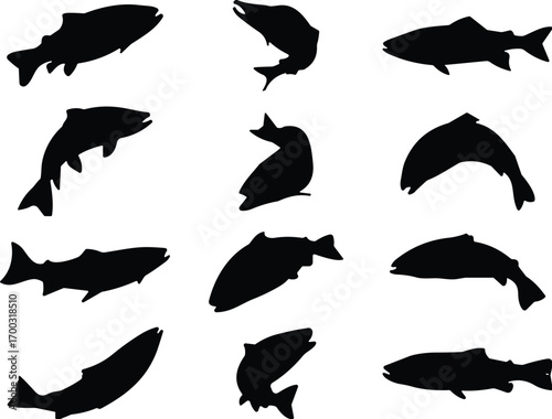Fish silhouette collection, black aquatic icons, marine species shapes, vector illustration, underwater life, ocean design, sea animal, biology