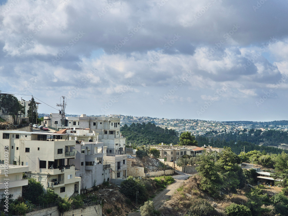 Naklejka premium Hillside homes overlook a wide expanse of forest and distant neighborhoods beneath a sky scattered with soft clouds