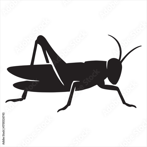 Black silhouette of a grasshopper insect with long legs and antennae isolated on a white background