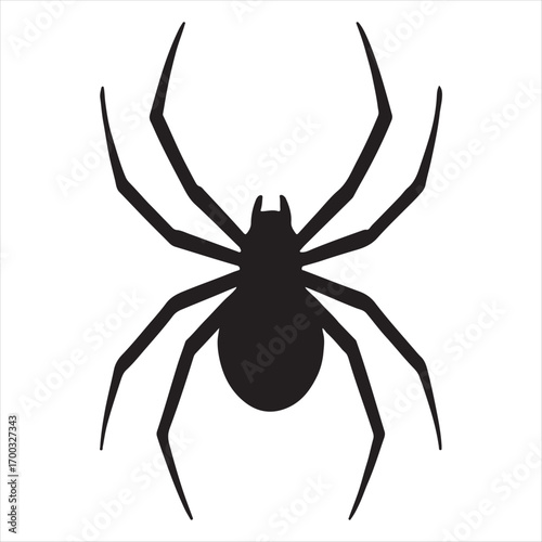 Silhouette of a black spider with eight long legs against a white background