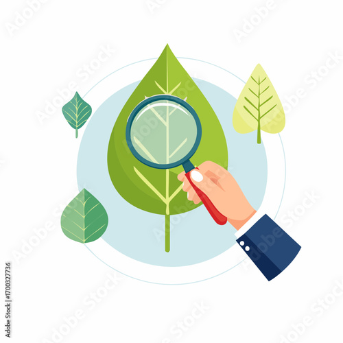 Hand Holding Magnifying Glass Examining Green Leaf