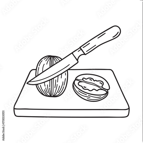An illustration of walnut on a kitchen counter with a knife