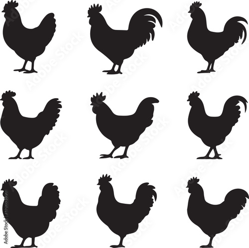 A vector illustration of a rooster's beak and head is a silhouette of a cartoon hen, a symbol of agriculture and farm poultry