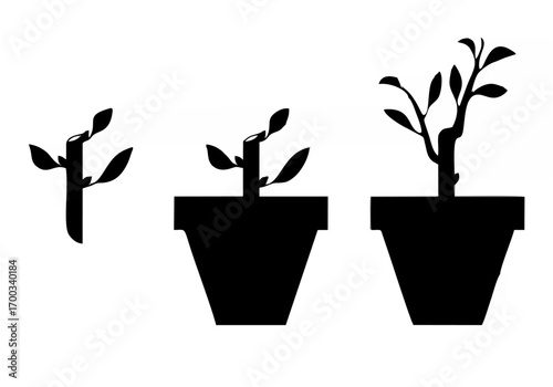 Sprout planted in a pot Vecto...
