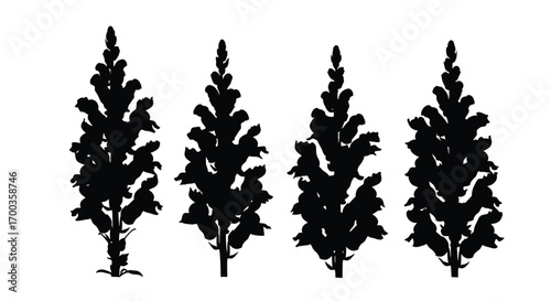 Four silhouette pine trees of varying heights for natural landscape design elements vector
