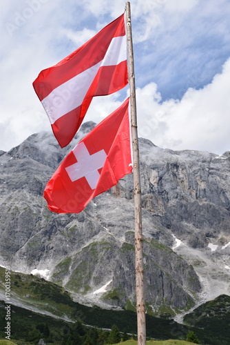 Flaggen Österreich & Schweiz