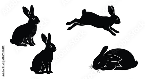 Four silhouette rabbits in various poses illustrating movement and stillness vector