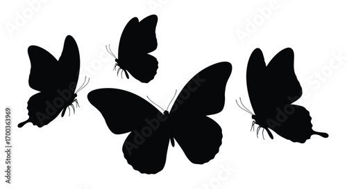 Silhouette butterflies flying in a group creating a dynamic and elegant natural scene vector