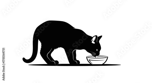 A sleek black cat gracefully drinks from a shallow bowl.