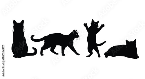 Collection of black cat silhouettes showing various poses and actions vector