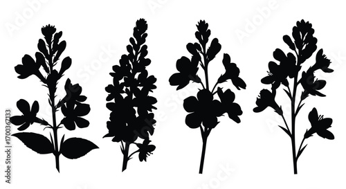 Silhouette botanical sprigs set delicate floral elements for design projects vector