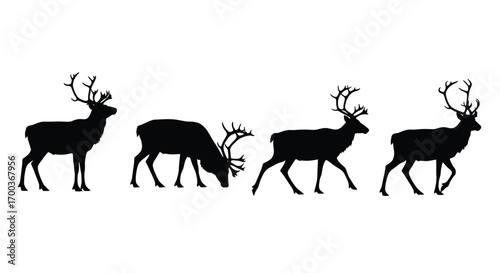 Silhouette set of four majestic deer in various poses demonstrating antler detail and graceful movement vector